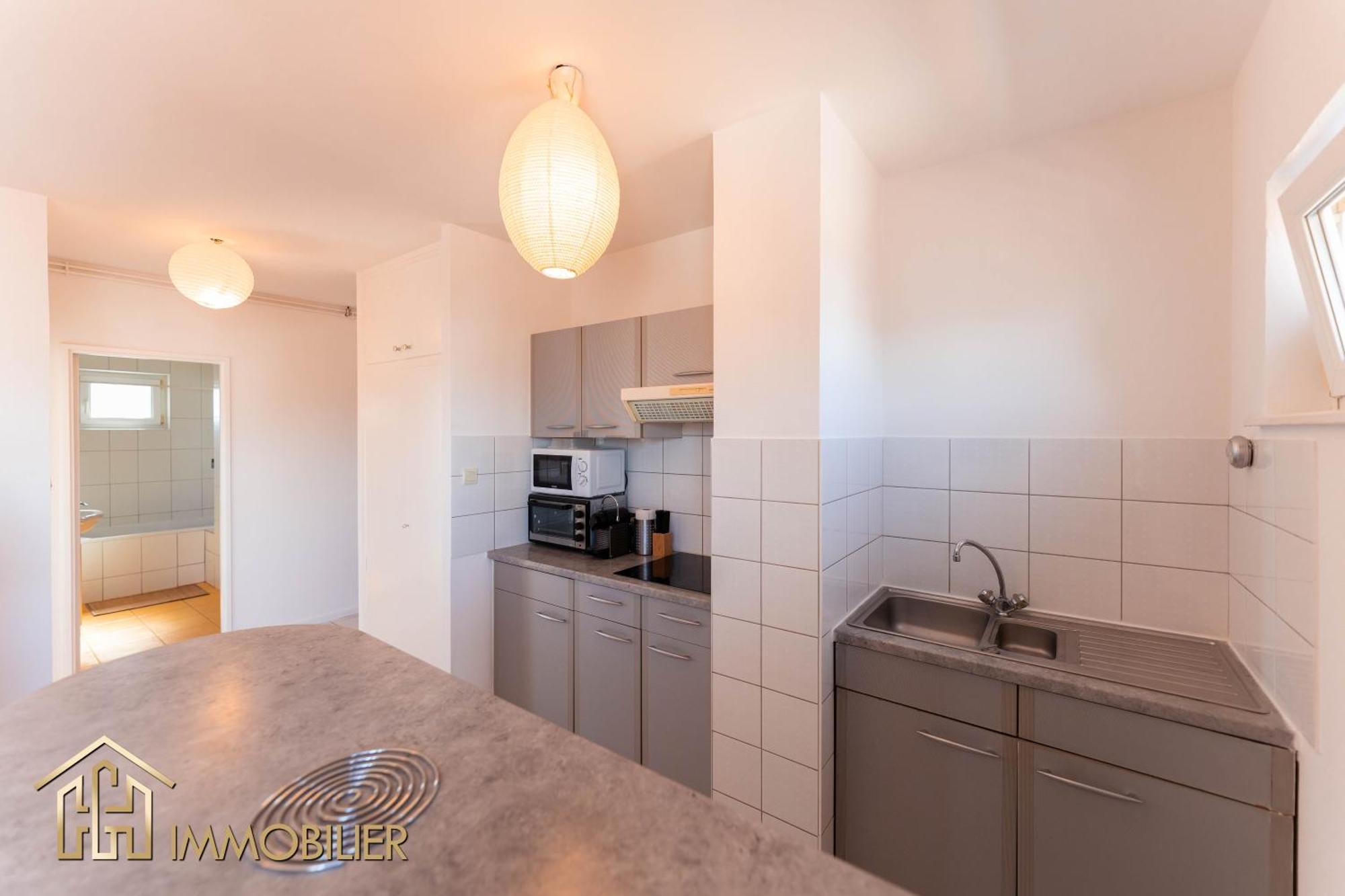 Appartement L'Orient - Parking Colmar Buitenkant foto