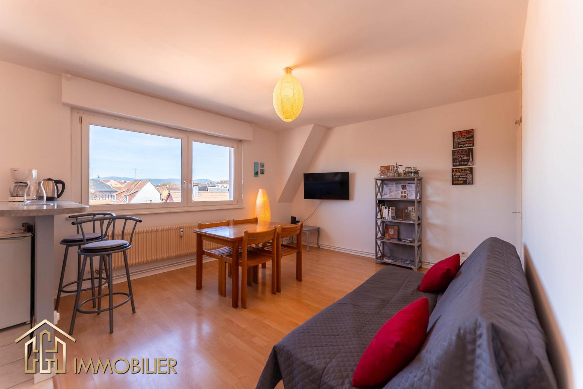 Appartement L'Orient - Parking Colmar Buitenkant foto